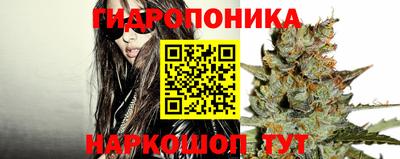 дживик Балахна