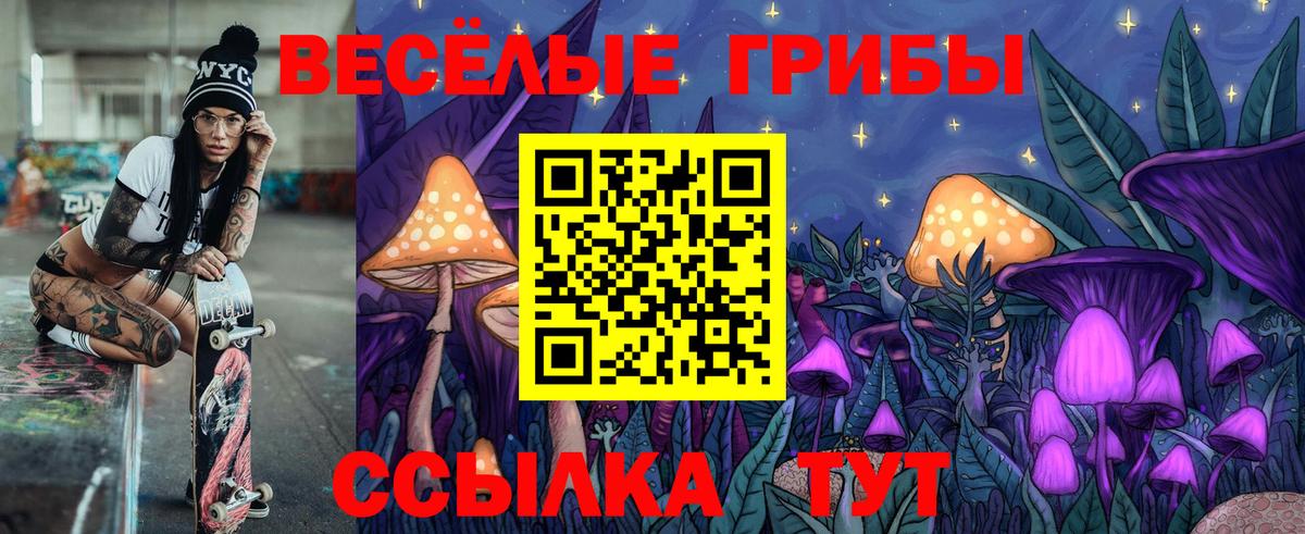 где купить   Гусиноозёрск  Псилоцибиновые грибы Psilocybe  Псилоцибиновые грибы мицелий 
