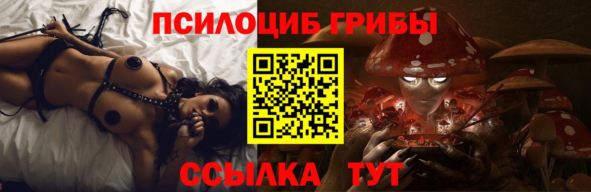 Галлюциногенные грибы мицелий Гусиноозёрск
